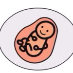 Bindung entdecken – Schwangerschaft 06 Bindung entdecken - Schwangerschaft 06