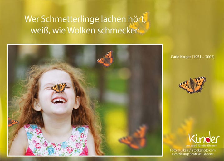 45 Sinnpost Schmetterlinge