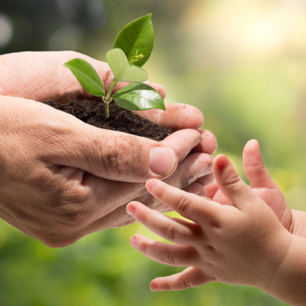 Gewinnspiel Home - Foto iStock © RomoloTavani