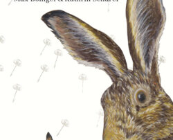 Rezension Stummel – Ein Hasenkind wird gross