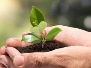 Adoption und Bindung Ein Leitfaden für Eltern traumatisierter Kinder - Foto iStock © RomoloTavani