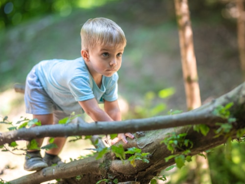 Entwicklungsverläufe Wenn Kinder sich anders entwickeln - Foto iStock @ HappyKids